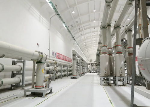 屡屡突破，走向世界——埃克伦斯电气的全球征程